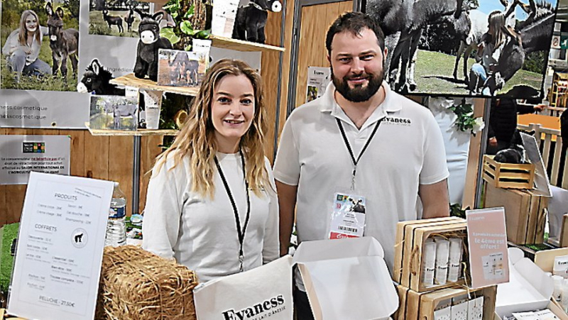 The “mixed feeling” of Aveyron exhibitors present this week at the agricultural show in Paris