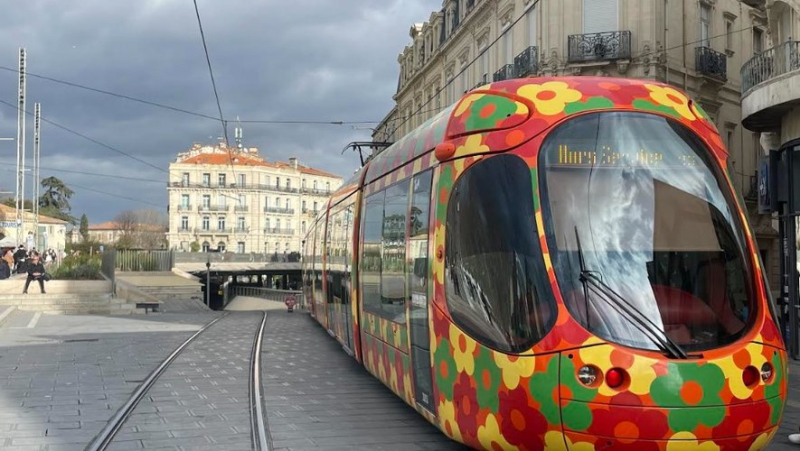 Tramway: a broken down train at the Corum stop disrupts traffic on three lines in the heart of Montpellier