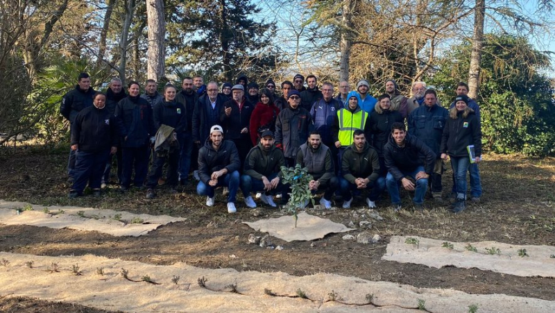 Sur la presqu’île de Villeneuve, 440 arbustes plantés par les Compagnons de Maguelone