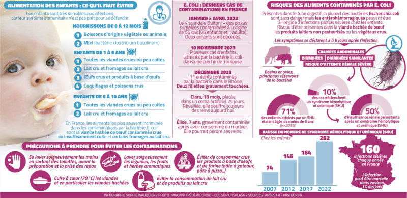 "Il y a des aliments à haut risque qu'on ne doit pas proposer aux tout petits" : bactérie E.coli, allergies... les règles à respecter