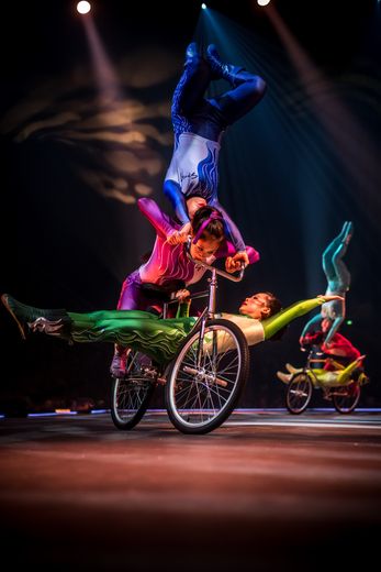 "À chaque représentation, je voyais l'ourson qui avait peur", le cirque Phénix sans animaux à Montpellier