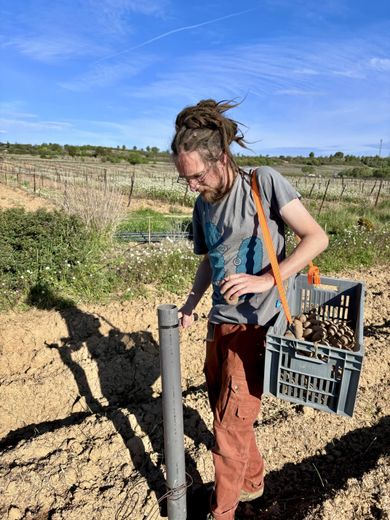 "Je ne me paye pas encore" : à Villeveyrac, les difficultés d’Emile Dorques pour vivre de son agriculture bio