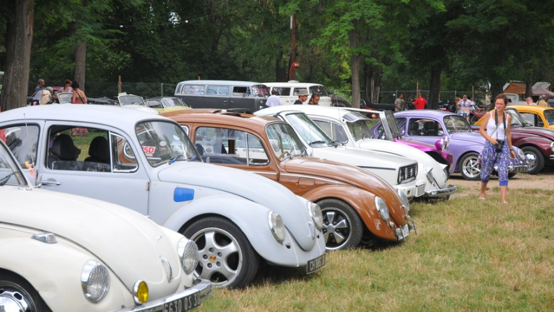 Bagnols-sur-Cèze: for its 30th edition, the gathering of the old VW club migrates to Vaucluse