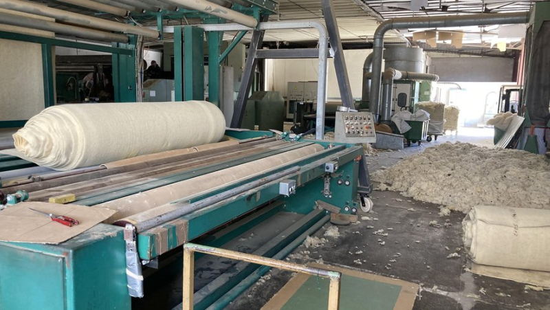 In Camarès, the Colbert spinning mill recycles Lacaune sheep wool into mulch for plantations
