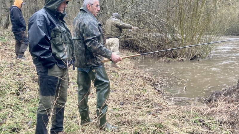 Opening of trout fishing in Lozère: water, fish, the season can begin