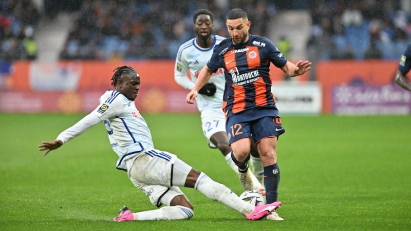 “If we get carried away now, we haven’t understood anything”: MHSC midfielder Jordan Ferri speaks before the arrival of PSG