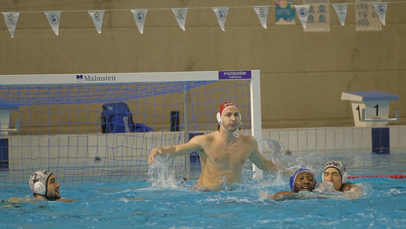 Water polo: Against Reims, Montpellier plays a decisive match in the race for European qualification