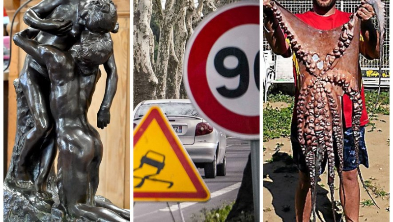 Camille Claudel takes off, wild run in Nîmes, giant octopus... the essential news in the region