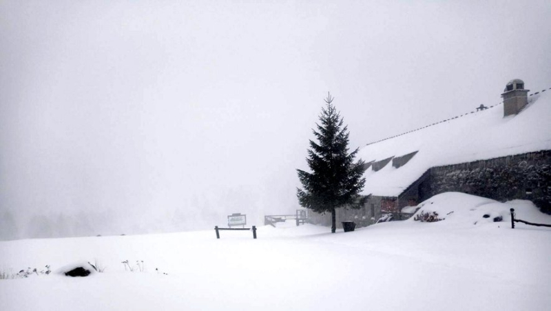 Cévennes: the Mas de la Barque under more than 25 cm of snow and difficult weather conditions