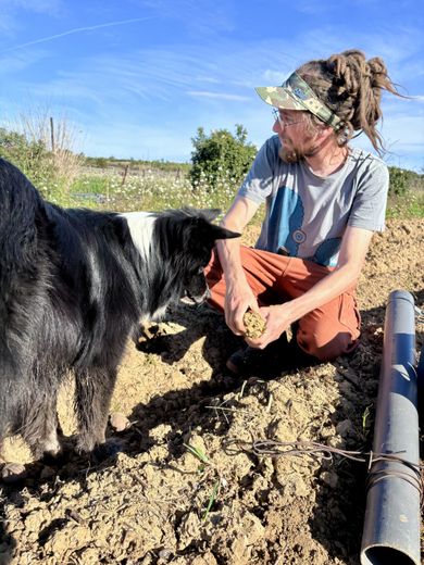 "Je ne me paye pas encore" : à Villeveyrac, les difficultés d’Emile Dorques pour vivre de son agriculture bio