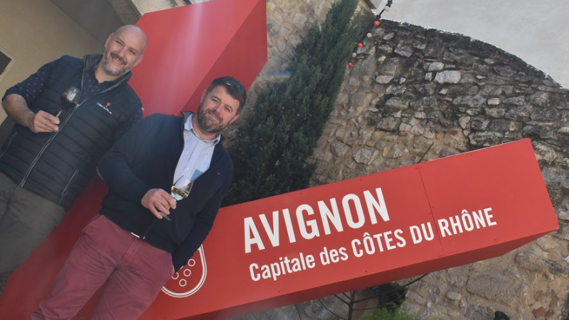 “For our salvation, we must explore all avenues”, the president of the Côtes-du-Rhône union announces the launch of studies on de-alcoholization
