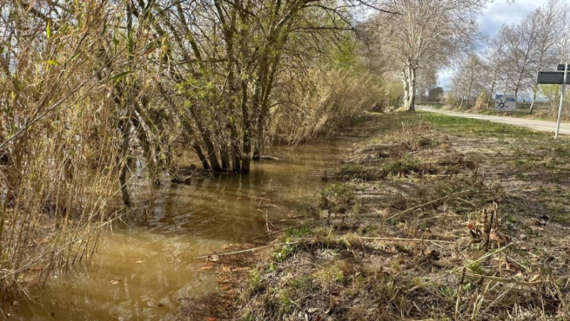 Intempéries meurtrières : la victime de l'inondation à Pézenas a été identifiée, son "accompagnatrice" est saine et sauve