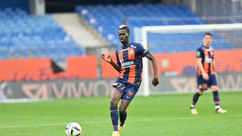 MHSC - PSG: Sagnan, Sacko and Delaye back in a group where Chotard and Hefti are absent