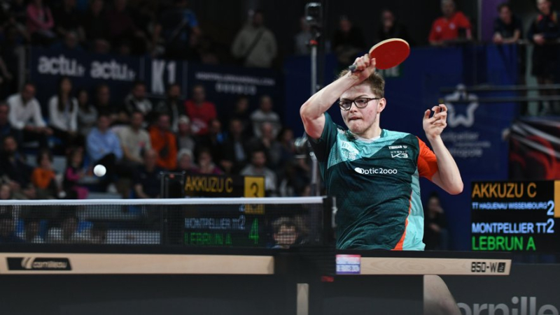 VIDEO. Alexis Lebrun wins in the semi-final and joins his brother Félix in the final of the French Table Tennis Championships where he will defend his title
