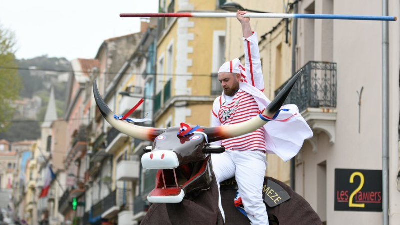 Escale à Sète 2024 : bœuf de Mèze, groupe de musique flamand... le défilé totémique a mis le feu aux rues sétoises