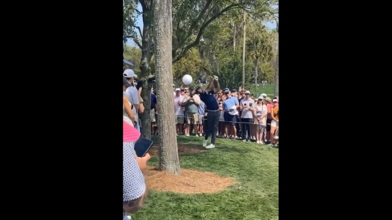 VIDEO. “It could have been devastating”: Max Homa’s ball brushes against the heads of spectators, a tragedy avoided in the middle of the Players golf tournament