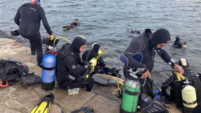 Around twenty divers mobilized to clean a spot renowned for its seahorses in the Thau pond