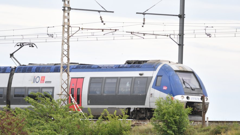 TER circulation in Occitanie: why the Council of State is forcing SNCF Reseau to review its fee rates for 2024