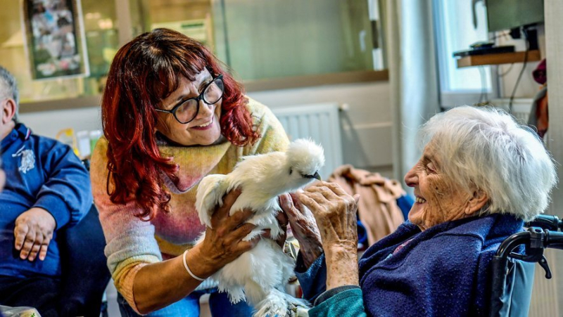 Dogs, cats, fish, canaries… will pets soon be allowed in nursing homes ?
