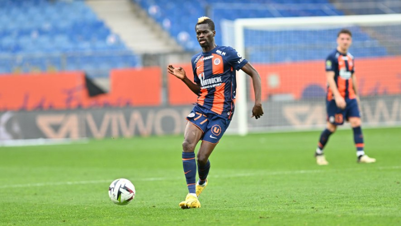 Le Havre-MHSC: Falaye Sacko very present in a Montpellier group without several players