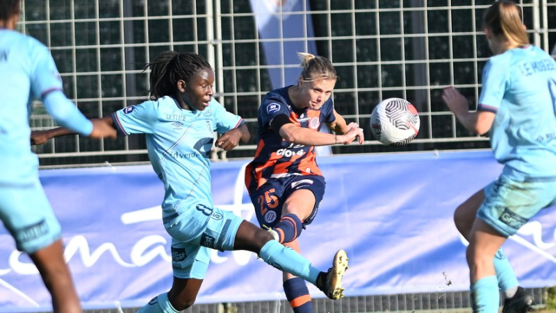 Facing the Normandes du Havre, the MHSC, fourth with one point ahead of Reims, can make the hole