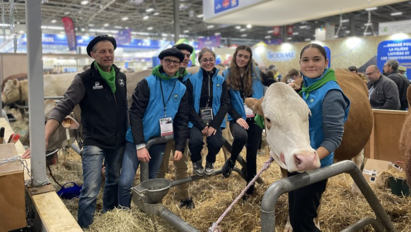 “Ready to take over the farm”: the young Lozère farmers of tomorrow are in competition at the Salon in Paris
