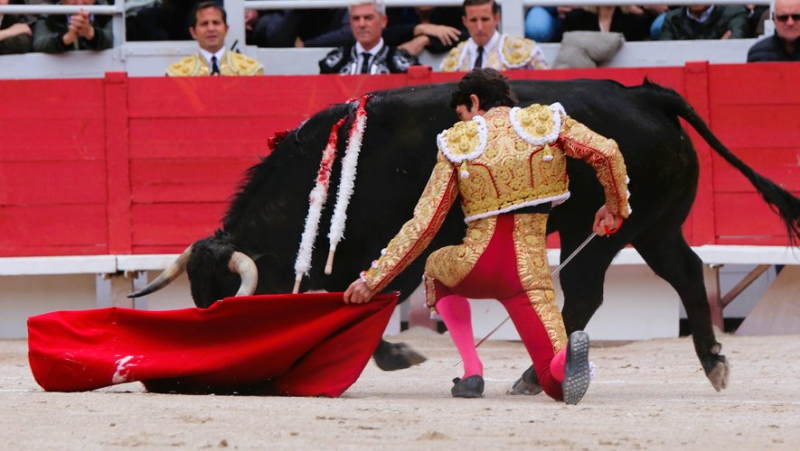 Feria d’Arles: the form of Castella and Luque dominates the elements