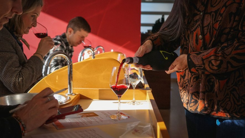 Les Vignes Toquées 2024: when the Costières de Nîmes and the art of the vine enhance gastronomy