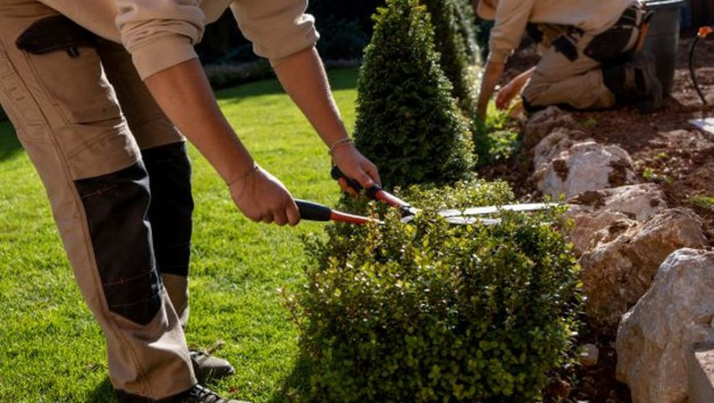 The market for landscape companies driven by individuals