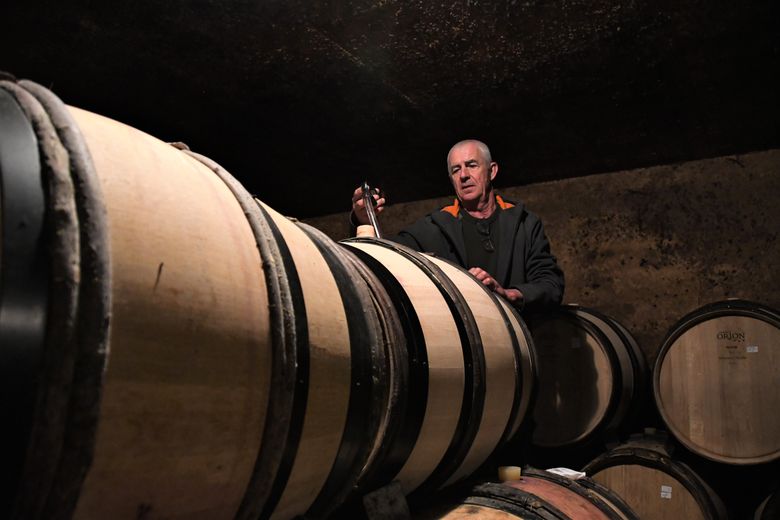 At the Grange des Pères, the first vintage without Laurent Vaillé is about to be bottled