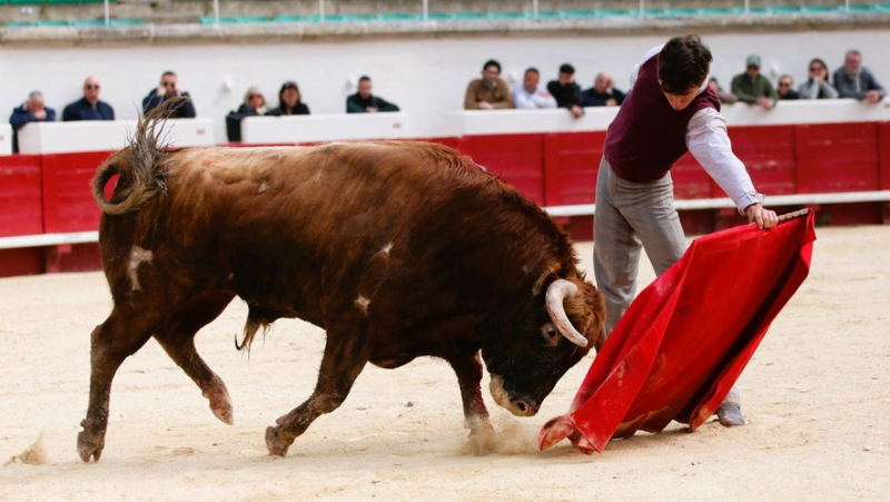 Final preparations for Christian Parejo in Béziers