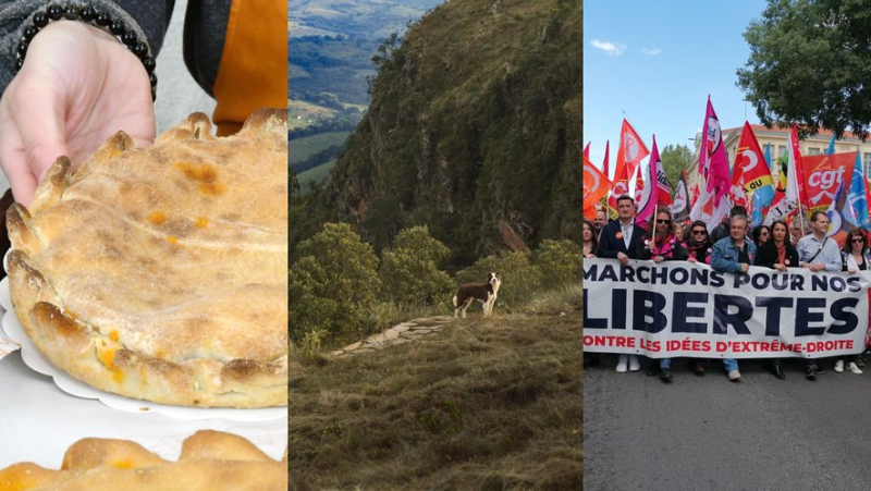 Pacific octopus in the air, stray dogs killed, a demonstration against the far right: the main news in the region