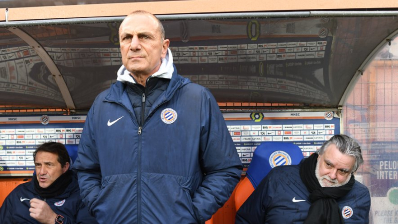 Reims - MHSC: “We must collect the points to confirm the maintenance”, hopes Michel Der Zakarian