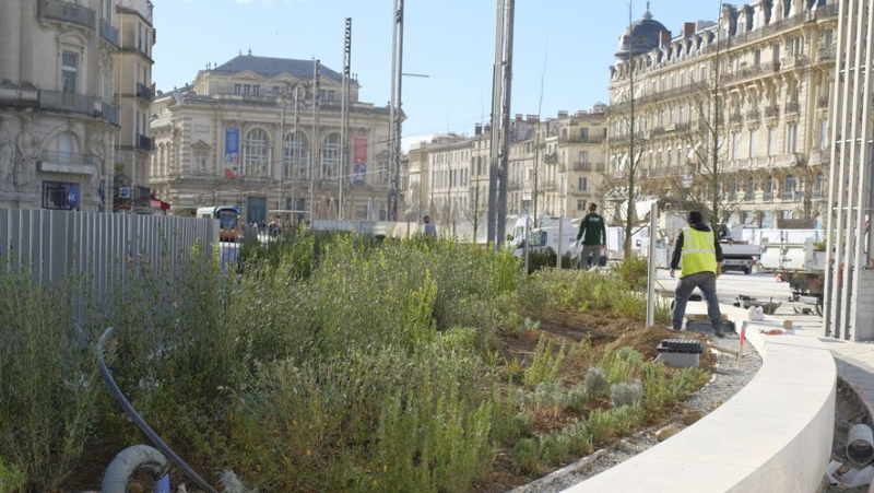 Fight against climate change: the Regional Audit Chamber highlights the inadequacies of the City and Metropolis of Montpellier