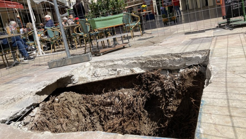 On the Place du Marché in Nîmes, a hole ready to welcome the new palm tree