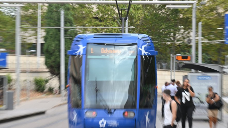 Traffic interrupted on tram line 1 in Montpellier after an accident, a shuttle provides the connection this Monday morning