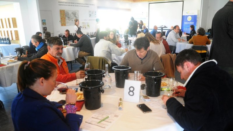 37th edition of the CCVH wine competition: a historical testimony of the viticultural evolution in the Valley