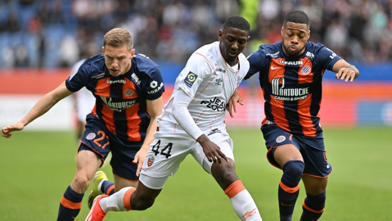 Ligue 1: Montpellier welcomes Nantes in a decisive meeting for maintenance, today at 9 p.m.