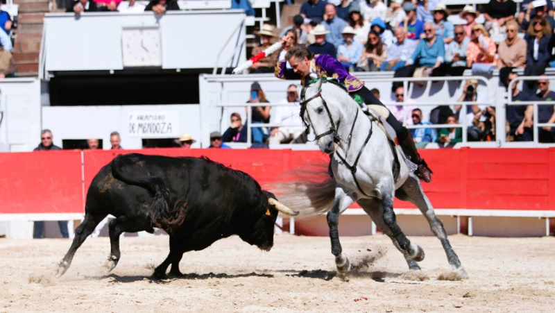 Feria d'Arles : les trois cavaliers triomphent pour les adieux de Mendoza