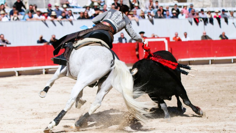 Feria d'Arles : les trois cavaliers triomphent pour les adieux de Mendoza