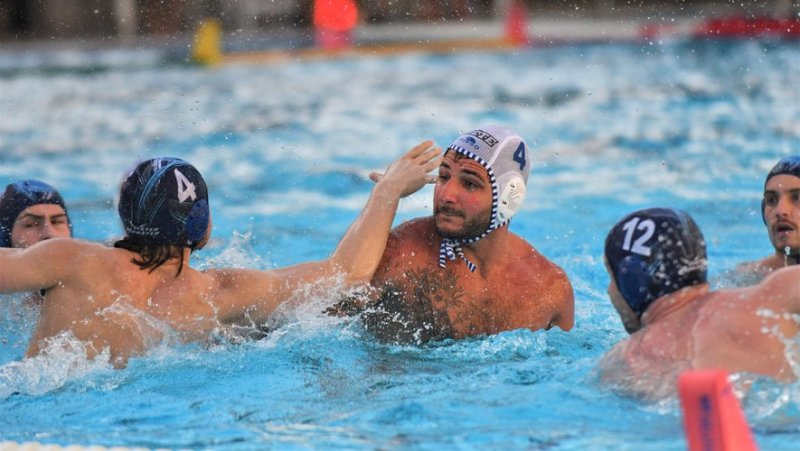 Water polo: Sète is perfectly there in its pool