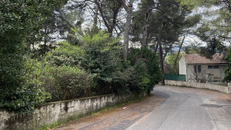Nîmes : face aux projets immobiliers à Puech-du-Teil, "il reste la guérilla urbaine et juridique"