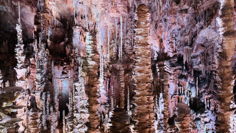 Aven Armand, a master hole which hid one of the most beautiful wonders of Lozère, a forest of stalagmites