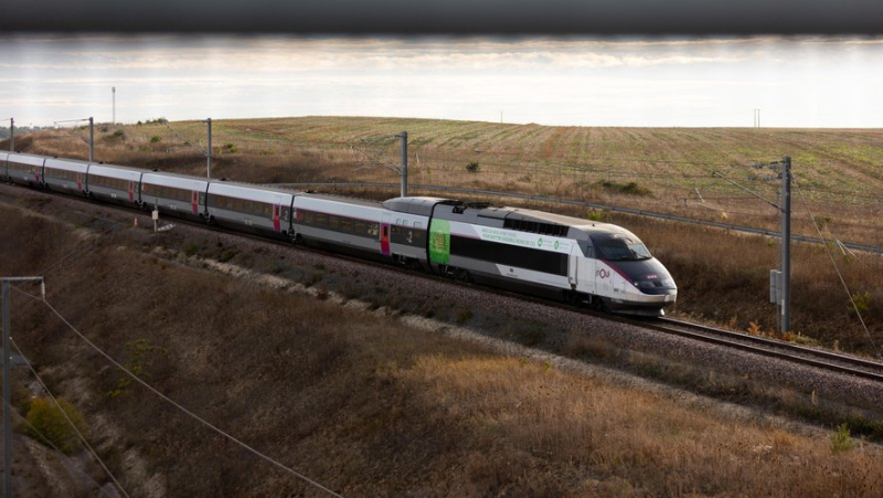 Bordeaux-Toulouse-Dax-Spain high-speed line: the populations surveyed approve