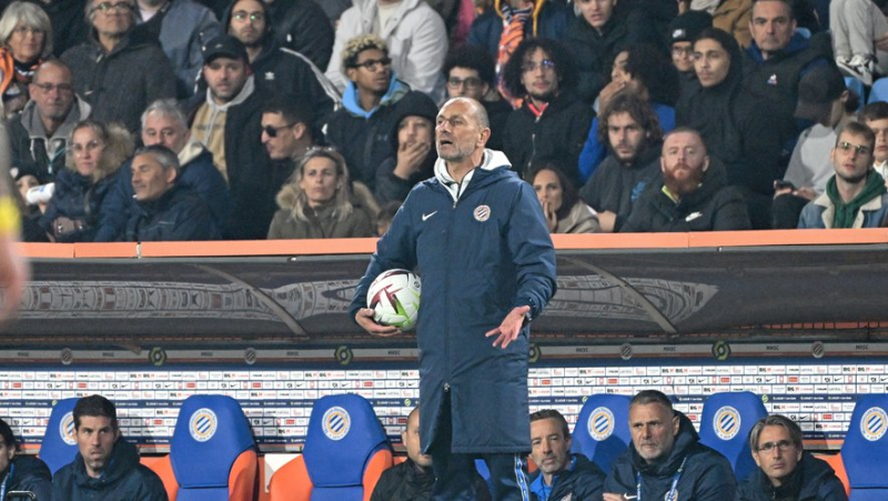 MHSC – Nantes: “We took a point, we move forward”, Michel Der Zakarian is satisfied with the draw, not the second half