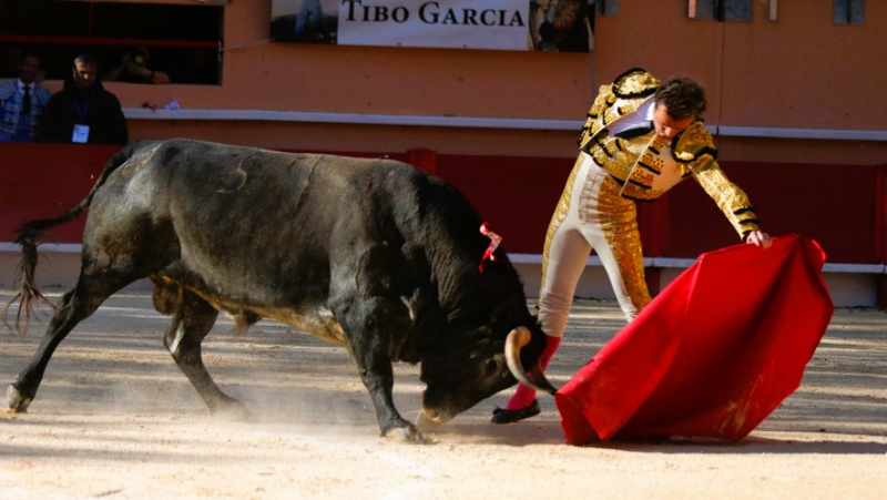 Lamelas and Tibo Garcia shine in front of good Saltillo at the Feria de la Crau