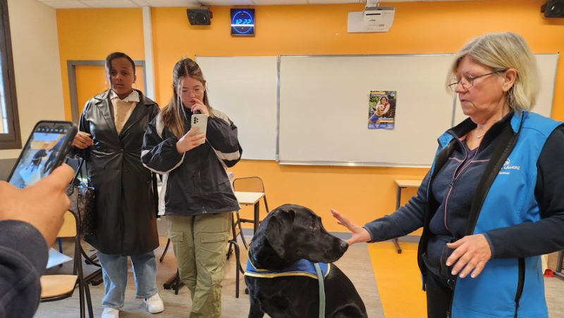 Trio, the assistance dog, won over the students of the Joseph-Vallot high school