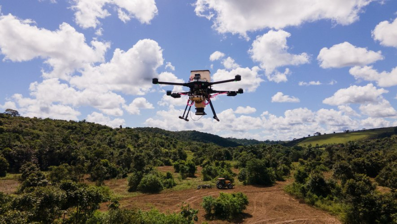 The start-up Morfo, specializing in reforestation by drones, moves to Montpellier