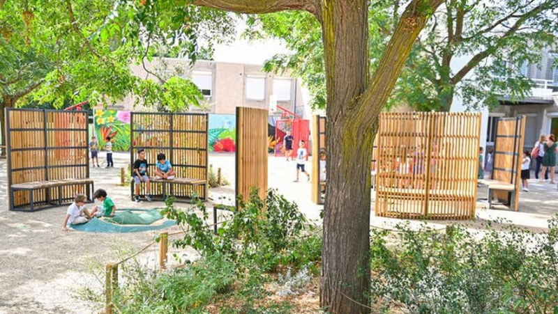 Greening the courtyard of the Jean-Zay school in Montpellier: “We benefit from it every day”