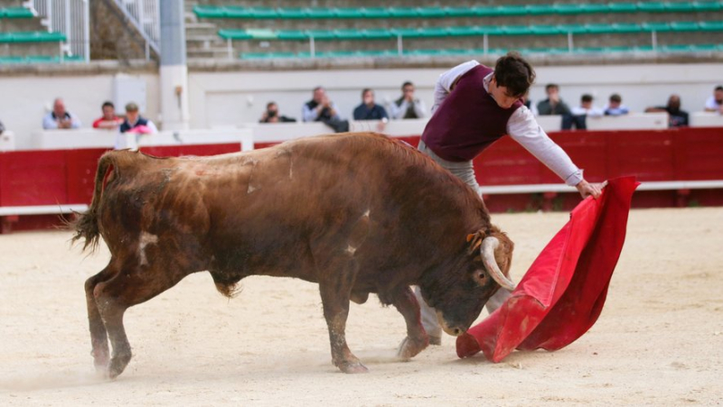 Final preparations for Christian Parejo in Béziers